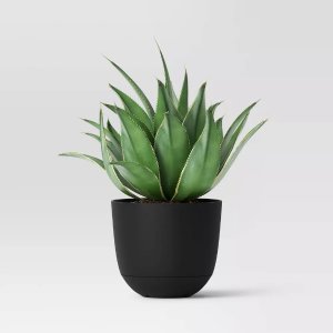 Room Essentials 플라스틱 8인치 셀프 급수 화분