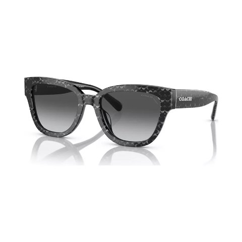 Moduba여성 CL920 편광 그라데이션 선글라스 HC8379U