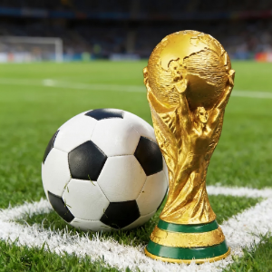 축구팬이라면 꼭 주목 ⚽