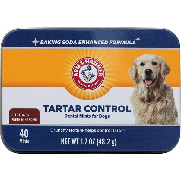 Arm & Hammer 반려견 타르타르 컨트롤 덴탈 민트 40개입