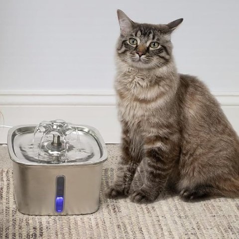ModubaVeken 스테인리스 고양이 정수기 2.8L 자동 급수기 실버 필터 포함