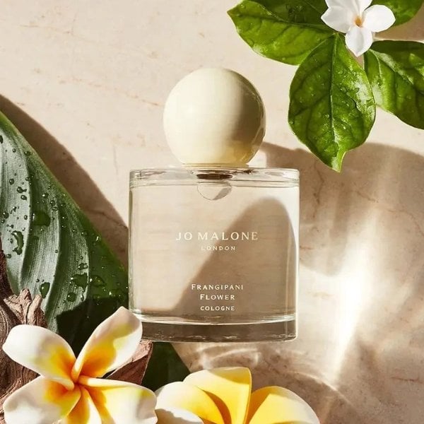 오렌지 마멀레이드 코롱 $59.97Jo Malone 향수 최대 43% 할인 🌿
