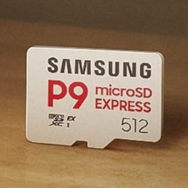 Samsung P9 익스프레스 마이크로 SD 메모리카드 256GB