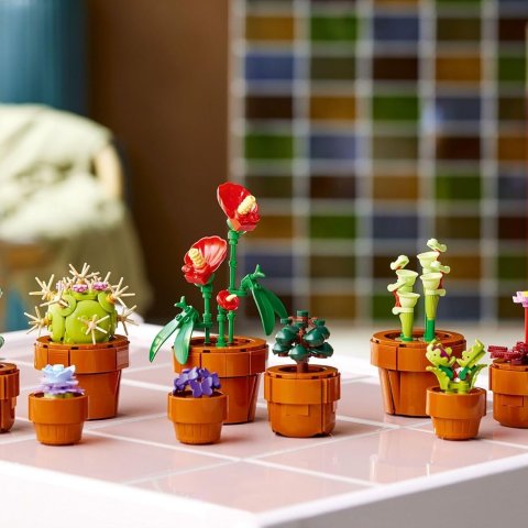 Moduba보태니컬 타이니 플랜트