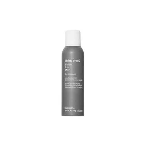 ModubaLiving Proof 퍼펙트 헤어 데이 드라이 샴푸 163ml x 2개입 세트