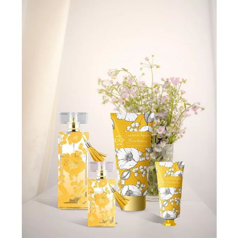 Moduba$166 상당 세트Nanette Lepore 4종 에버래스팅 세트